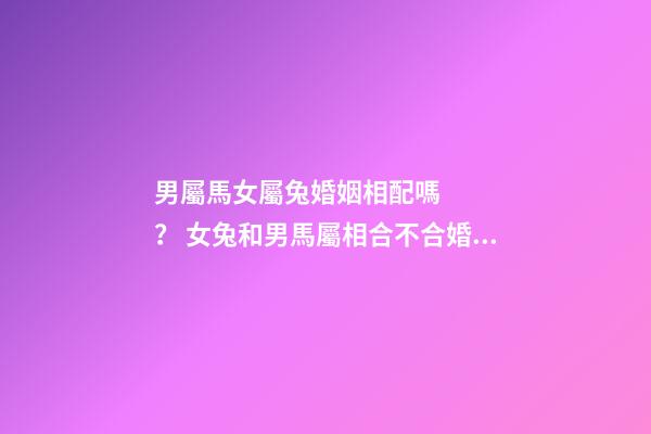 男屬馬女屬兔婚姻相配嗎？ 女兔和男馬屬相合不合婚姻，女兔 和 男馬 合不合？